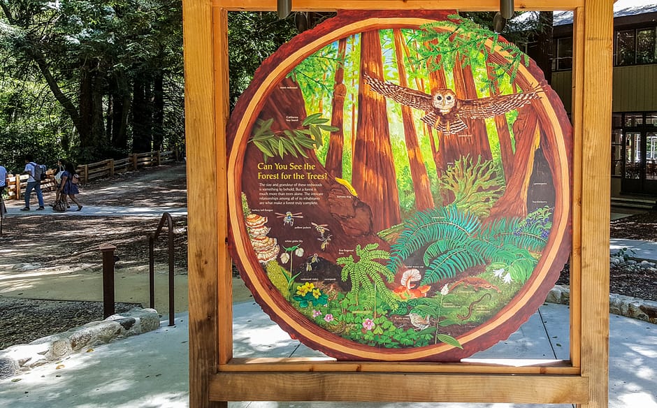 2016-06-06 14.54.03-Edit